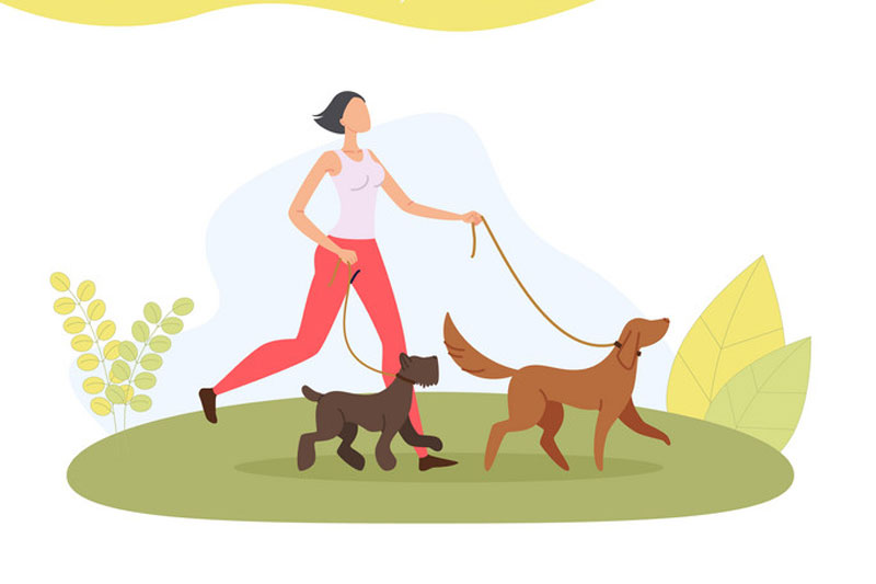 How to Start a Dog Walking Business and Be Successful
