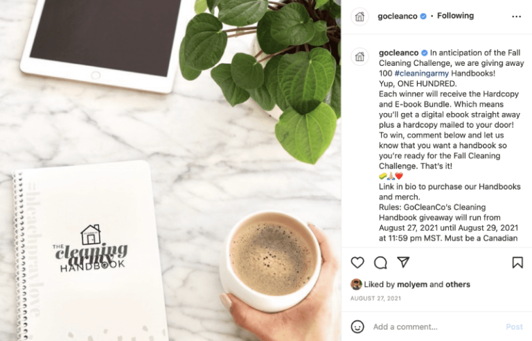 Cleaning Service Advertisement Examples to Inspire You Cleaning Service Advertisement Examples to Inspire You