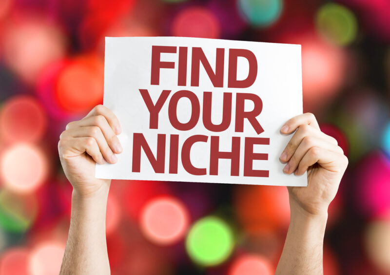 find your niche in online consulting