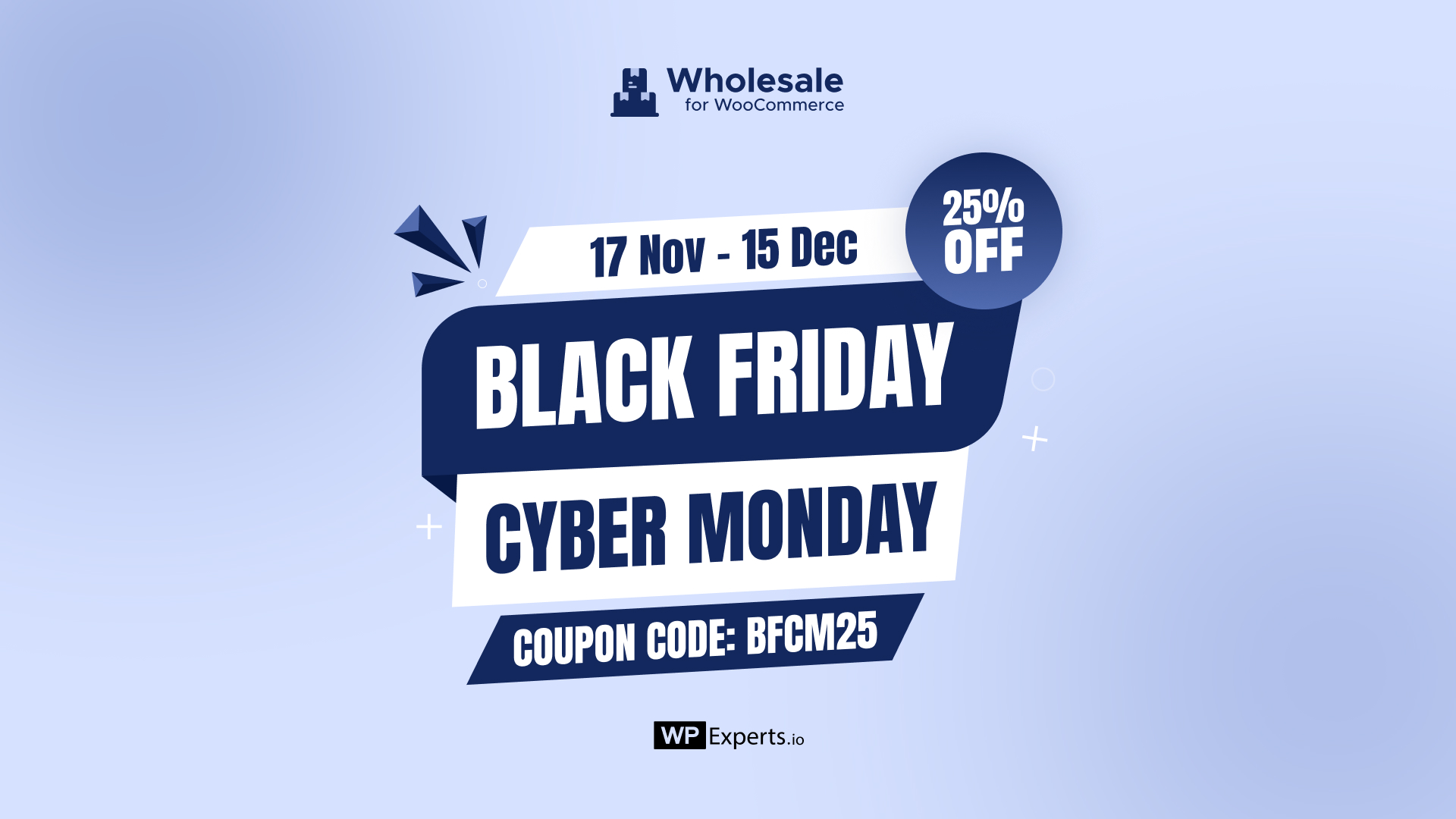 wp Experts black friday deal