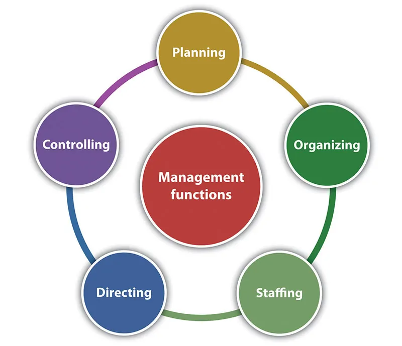 what is management consulting illustration
